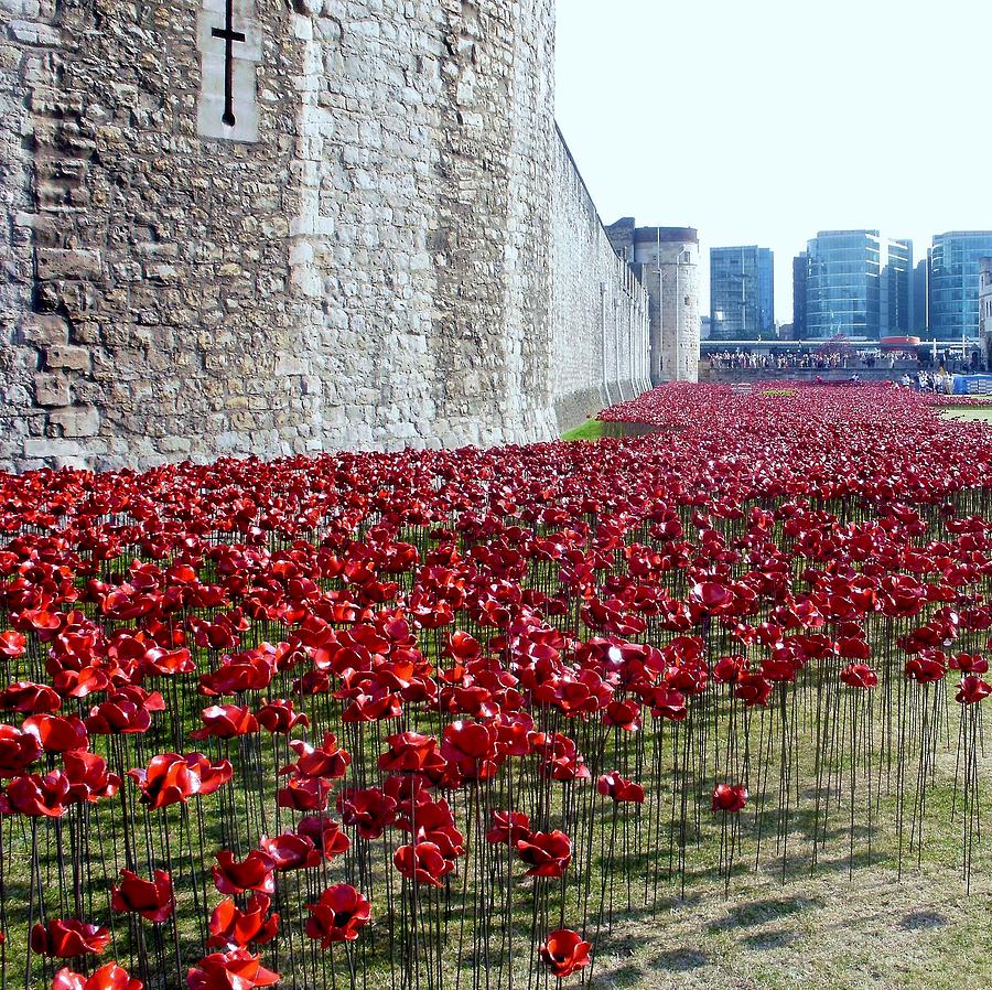 Tower Of London Photograph - Sea of Poppies - Tower of London by Mary Poulton