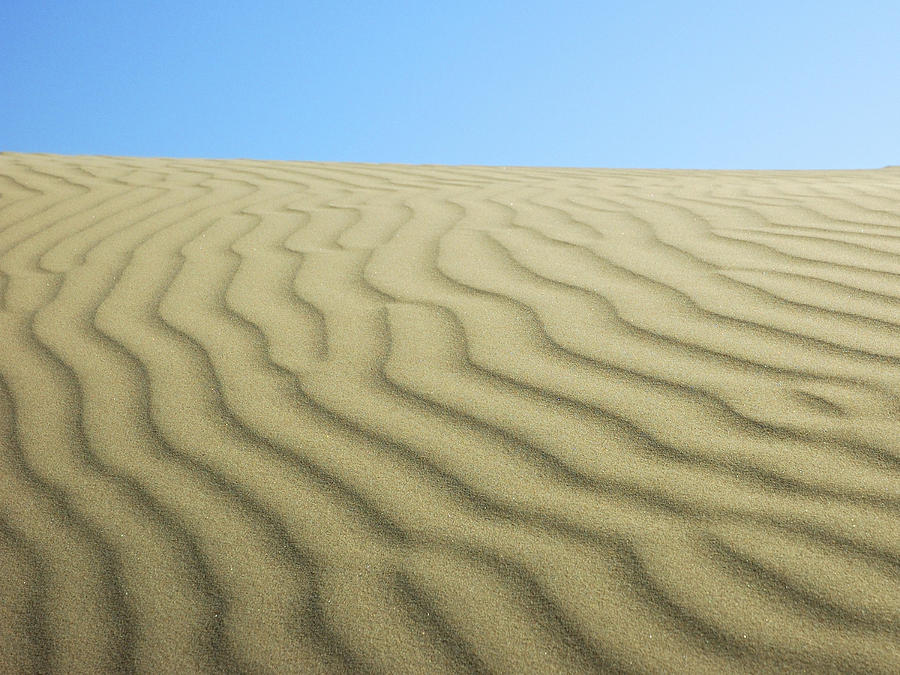 Sea of Sand Photograph by Lara Ellis