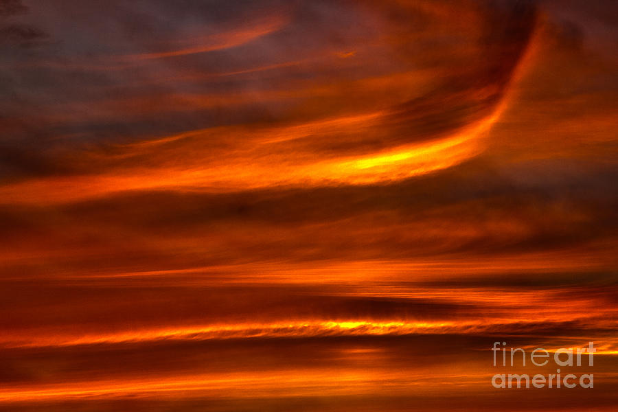 Sea of Sun Photograph by Alan Look