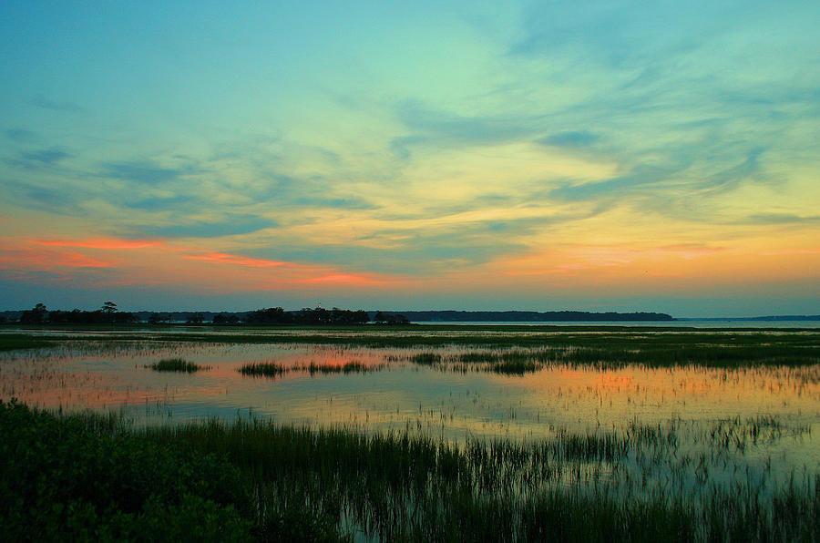 Landscape Photograph - Sea Pines Sunset by Tony Delsignore
