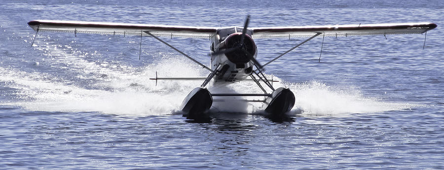 Sea Plane Landing Photograph by Timothy Latta - Pixels