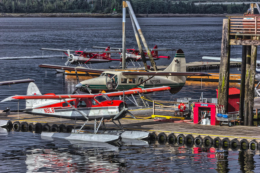 Otter Photograph - Sea planes  1s14v1 by Timothy Latta
