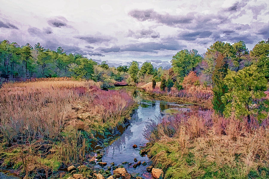 Sea Run Brook Trout Stream  Photo Art Photograph by Constantine Gregory