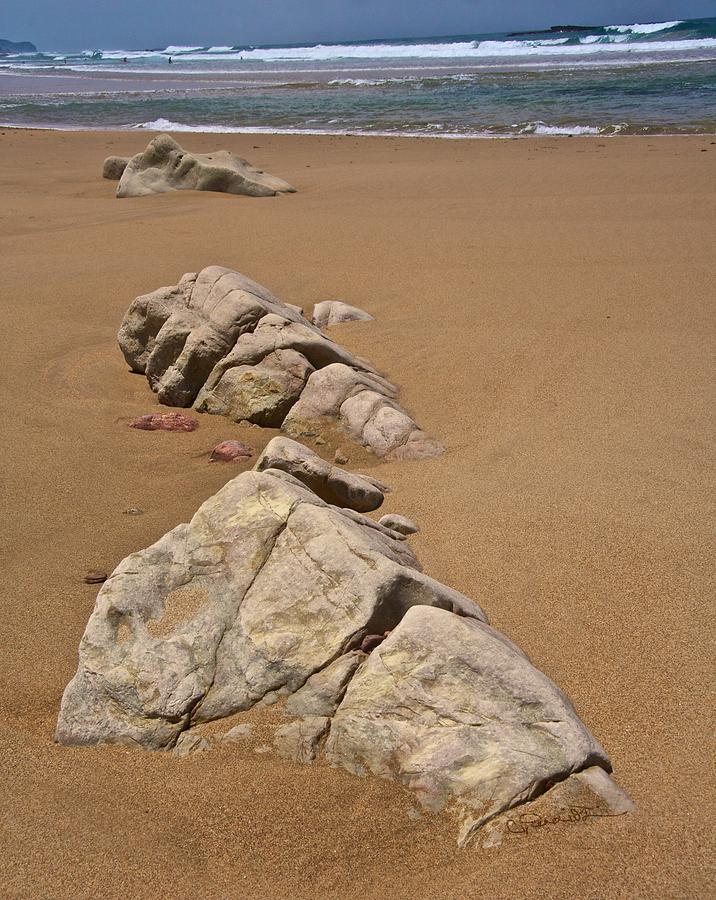 Sea Sculpture Photograph