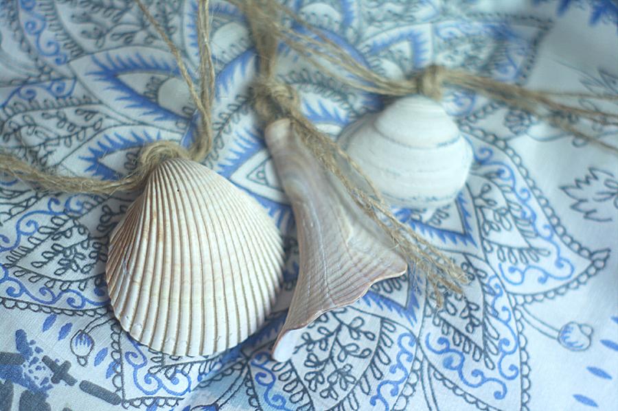 Sea Shell Ornaments Photograph by Suzanne Powers