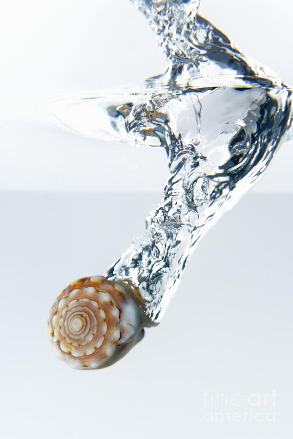 Vitality Photograph - Sea shell splashing underwater by Sami Sarkis