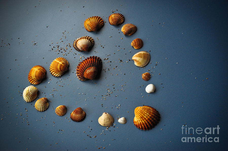 Barcelona Photograph - Sea Shells Heart by L Machiavelli