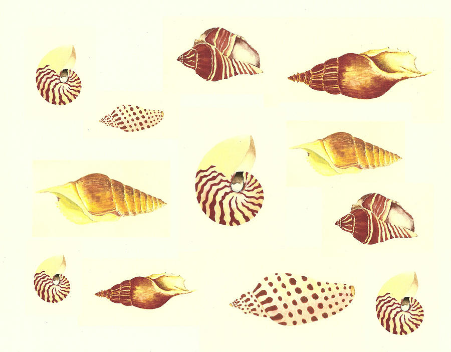 Sea Shells Painting