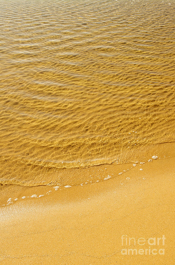 Summer Photograph - Sea Shore by Carlos Caetano