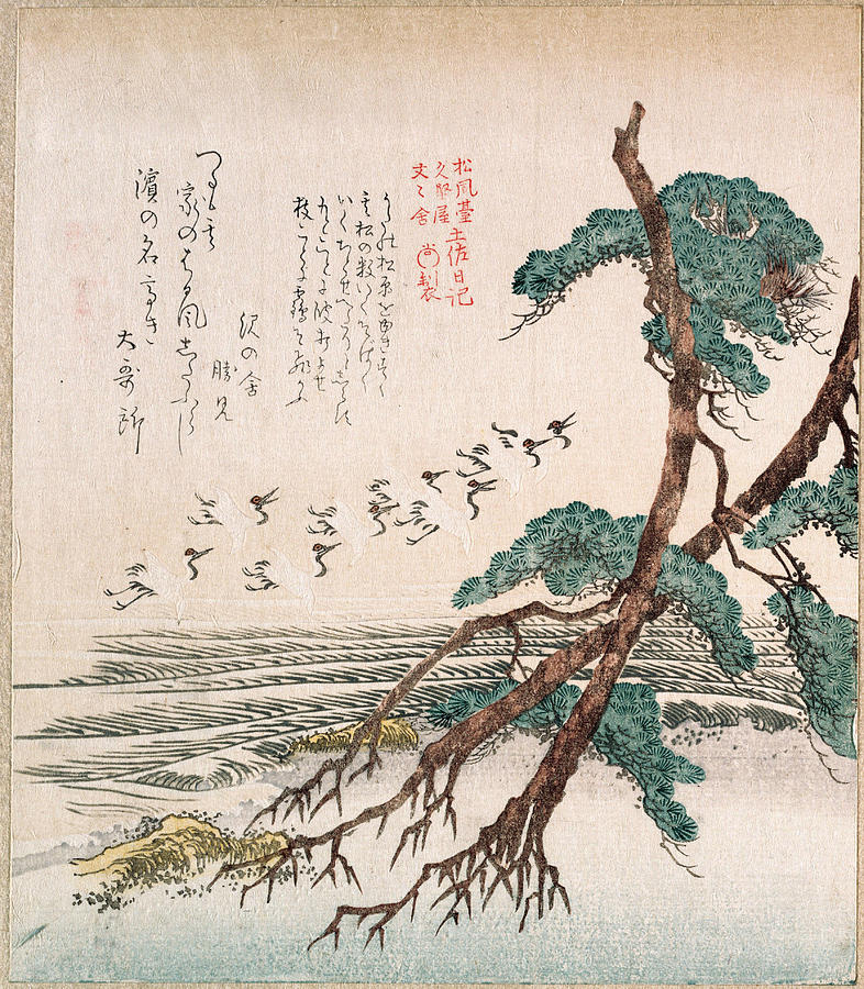 Sea-Side Landscape with Pine Trees and Flying Cranes Drawing by Kubo Shunman