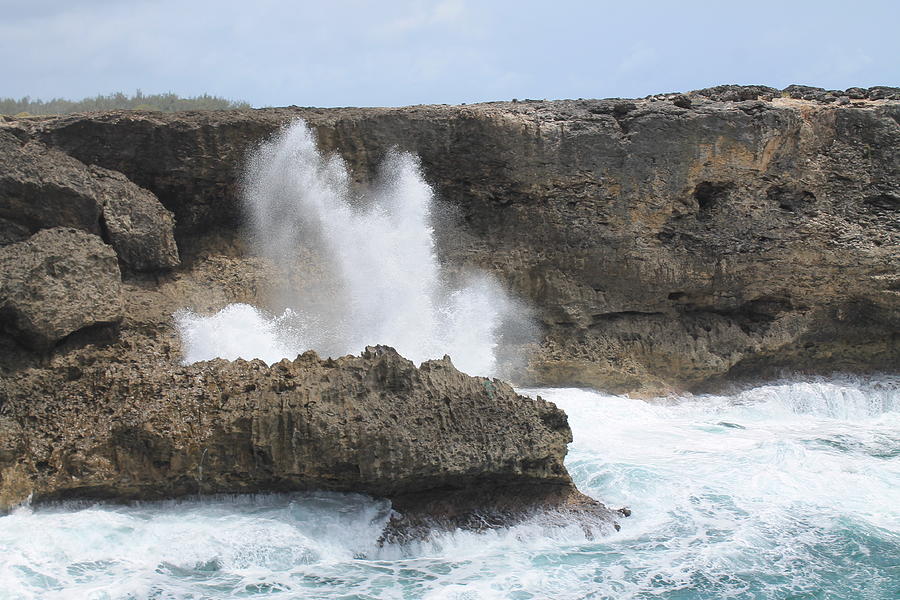 Sea Spray Photograph by Catie Canetti