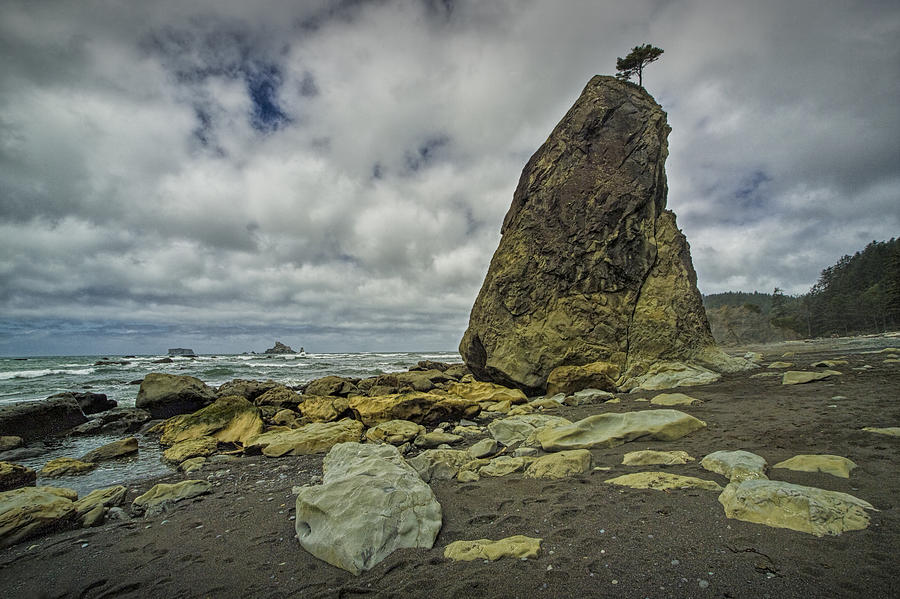 Olympic National Park Photograph - Sea Stack along Ruby Beach by Randall Nyhof