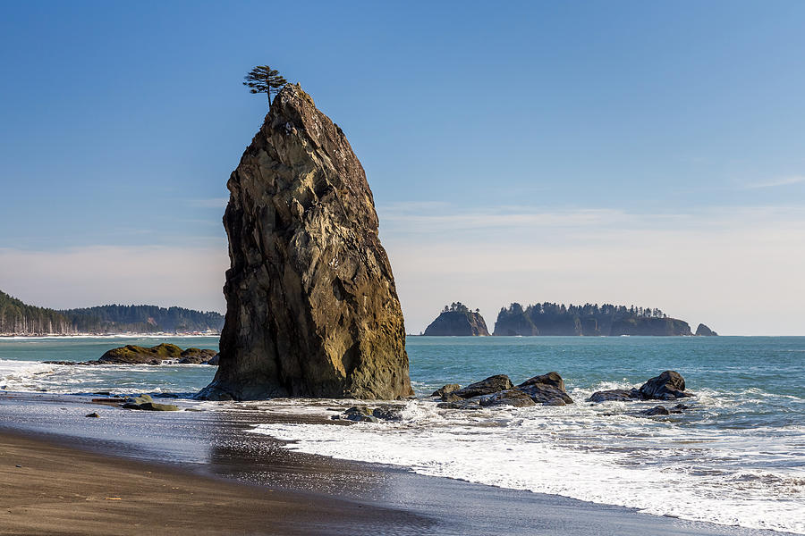 Sea stack in Olympic National Park Photograph by Pierre Leclerc Photography