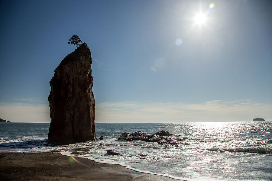 Single Sea stack in Olympic National park Photograph by Pierre Leclerc Photography