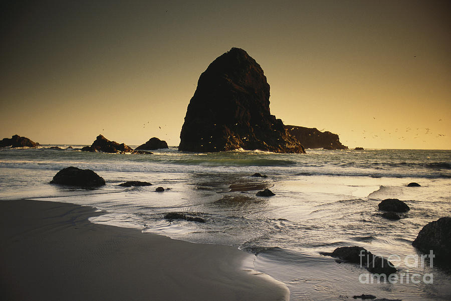 Sea Stack On Oregon Coast Photograph by George Ranalli
