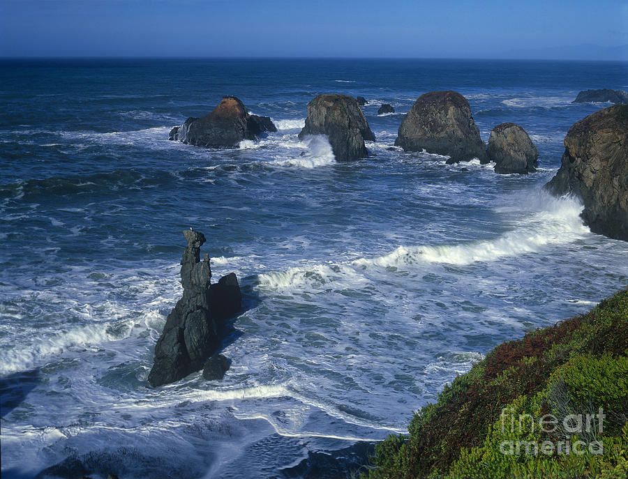 Sea Stacks Central Coast near Rockport California Photograph by Dave Welling