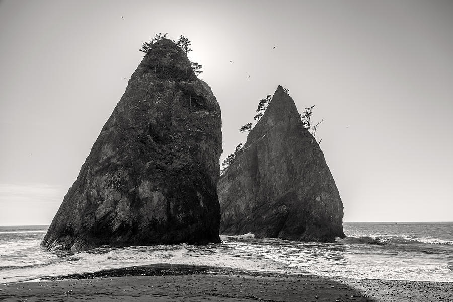 Olympic National Park Photograph - Sea stacks in Black and White by Pierre Leclerc Photography