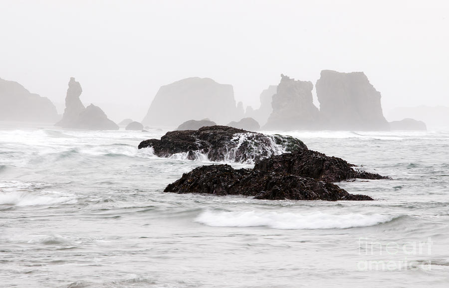 Sea Stacks in the Fog Photograph by Vivian Christopher