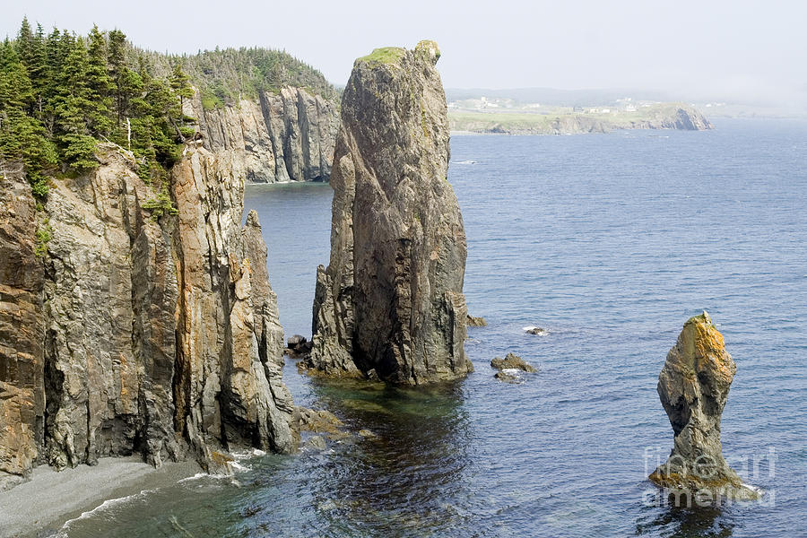Sea stacks Newfoundland Photograph by Liz Leyden