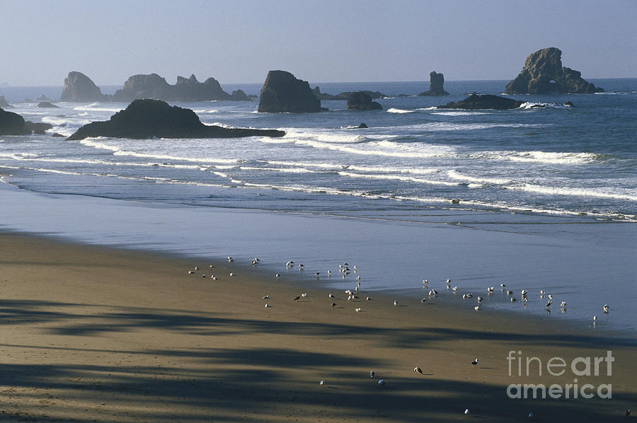 Sea Stacks On Oregon Coast Photograph by William H. Mullins