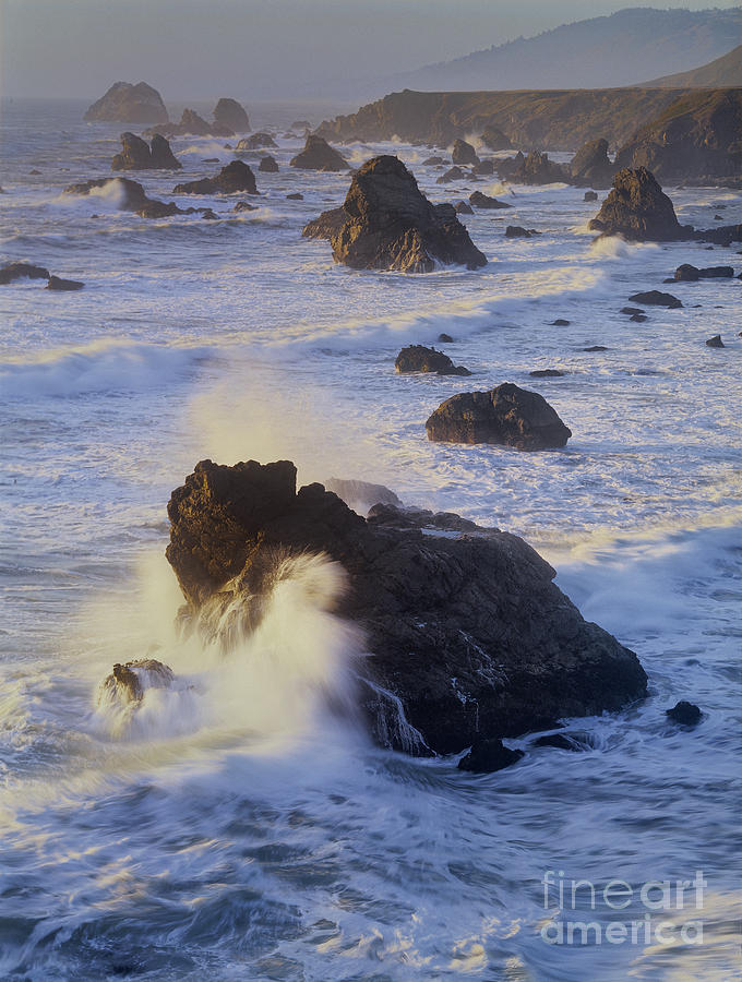 Sea Stacks Sunset Sonoma Coast State Beach California Photograph by Dave Welling