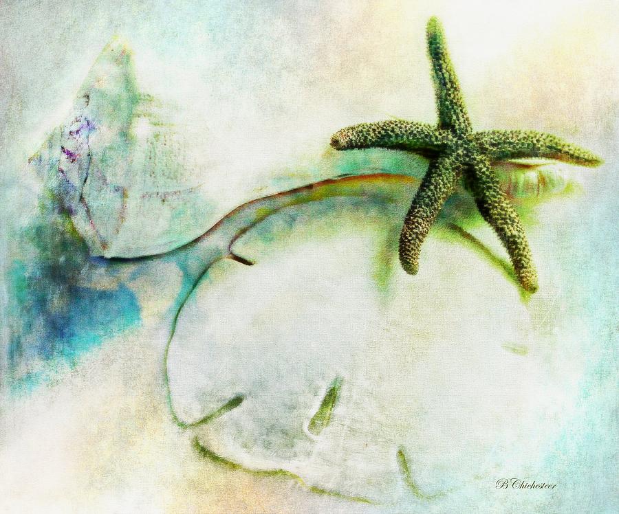 Sea Treasures Painting by Barbara Chichester