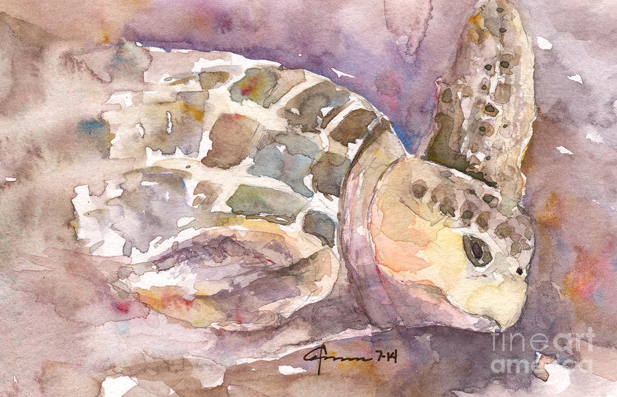 Sea Turtle #3 Painting by Claudia Hafner