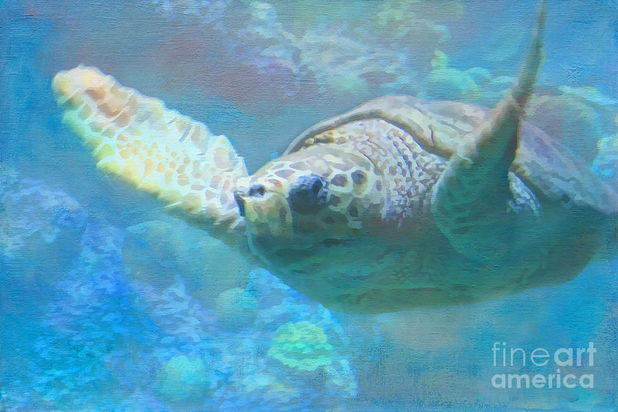 Sea Turtle Art Photograph by Jayne Carney