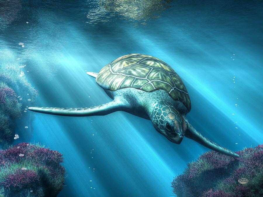 Turtle Digital Art - Sea Turtle by Daniel Eskridge