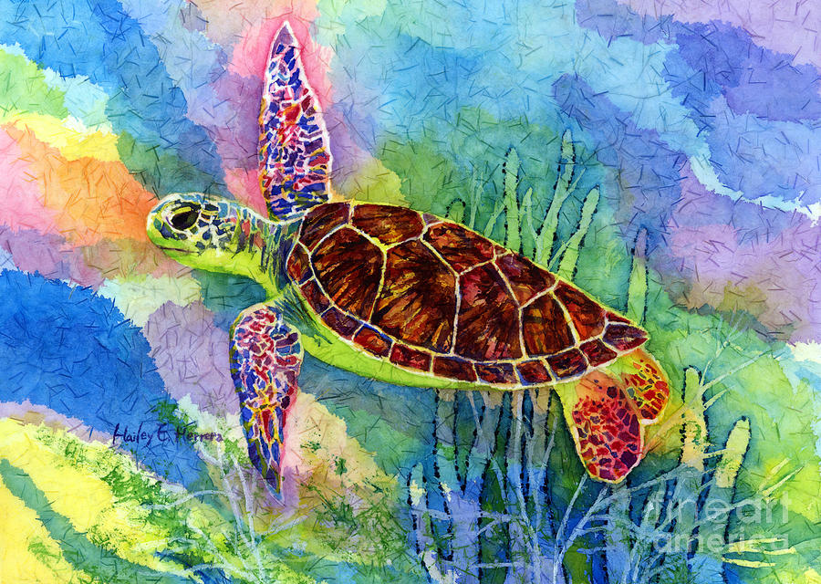 Turtle Painting - Sea Turtle by Hailey E Herrera