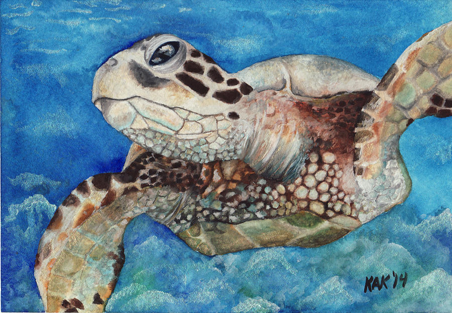 Sea Turtle Painting by Katherine Klimitas | Fine Art America