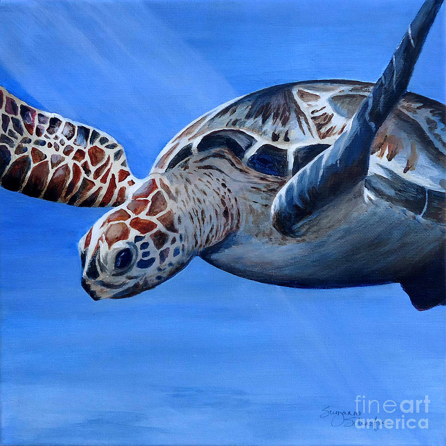 Sea Turtle Near Maui Painting by Suzanne Schaefer