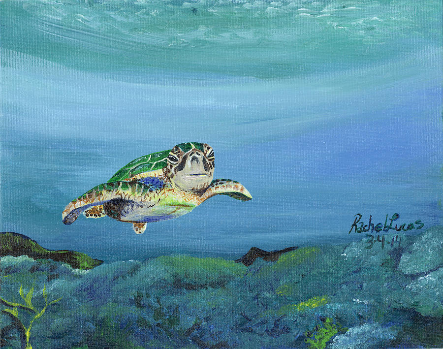 Sea Turtle Painting By Rachel Lucas-bertsch 