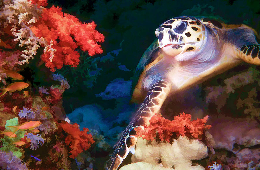 Sea Turtle Digital Art by Roy Pedersen