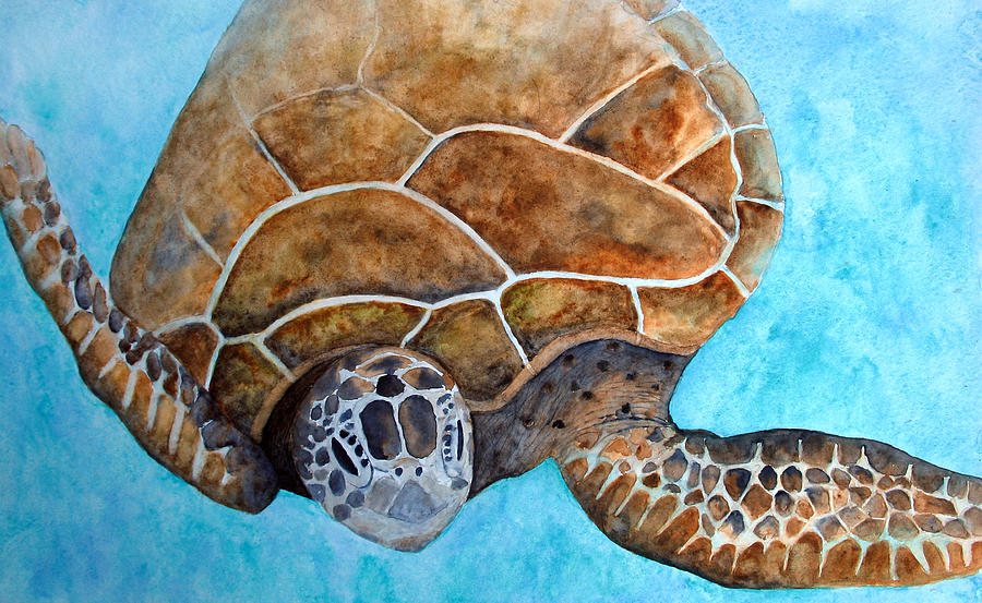 Sea Turtle Snorkel Painting by Patricia Beebe