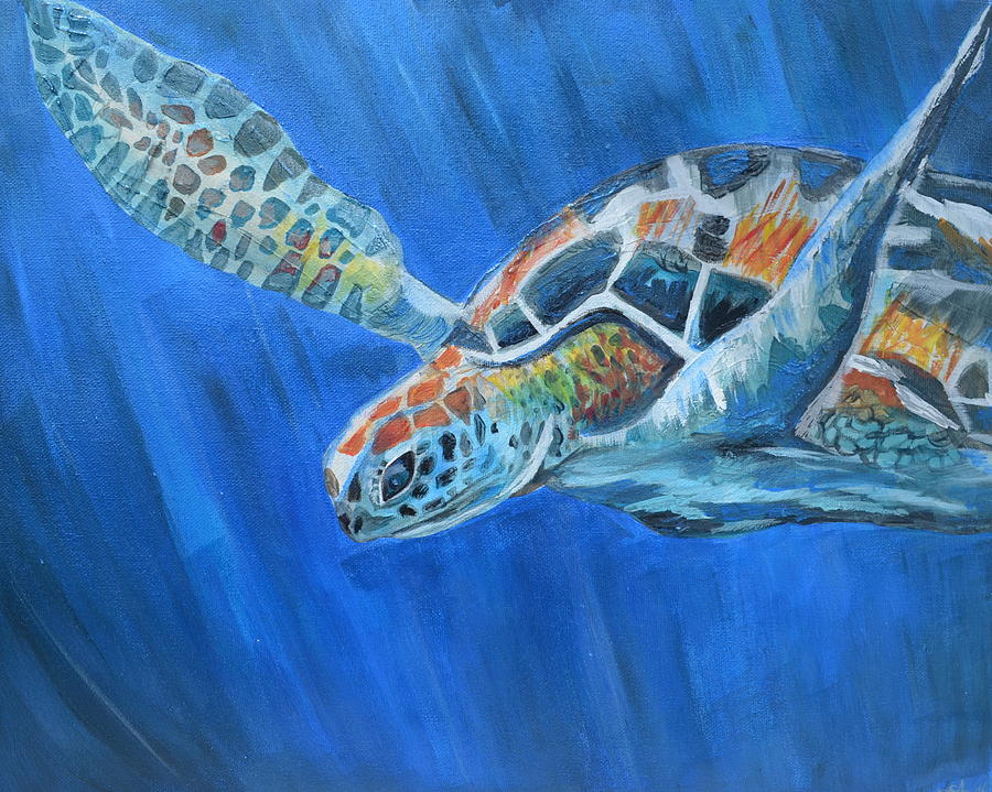 Sea Turtle Painting by Stephanie Doland - Fine Art America