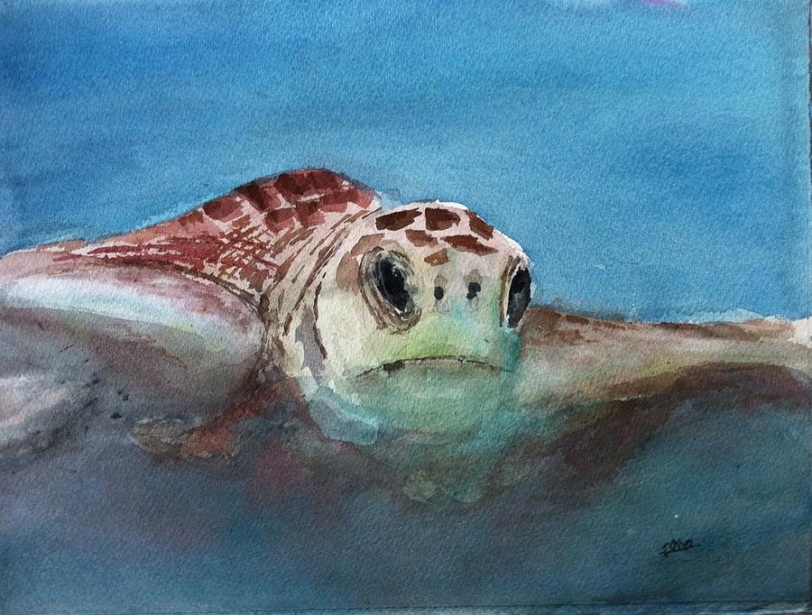 Sea turtle Painting by Stephanie Sodel - Fine Art America