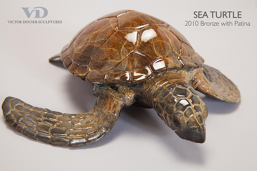 Sea Turtle Sculpture by Victor Douieb - Fine Art America