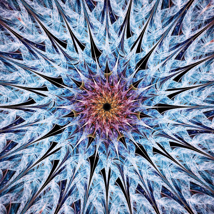 Nature Digital Art - Sea Urchin by Anastasiya Malakhova