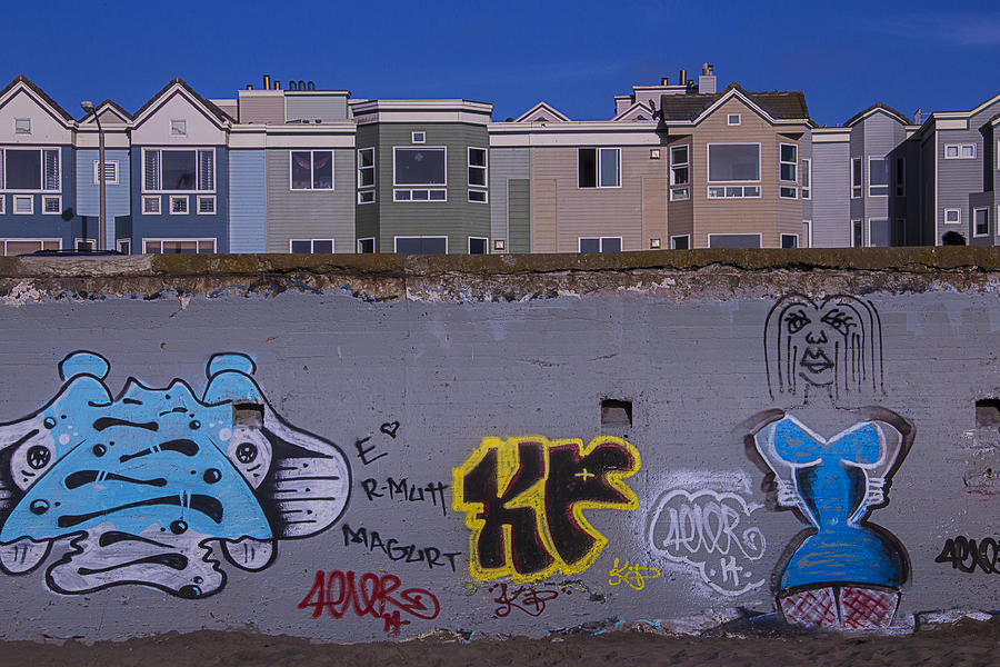 Beach Photograph - Sea Wall San Francisco by Garry Gay