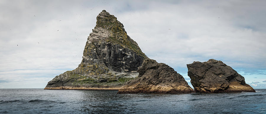 Seabird Colony Remote Ocean Stack St Photograph by Fotovoyager