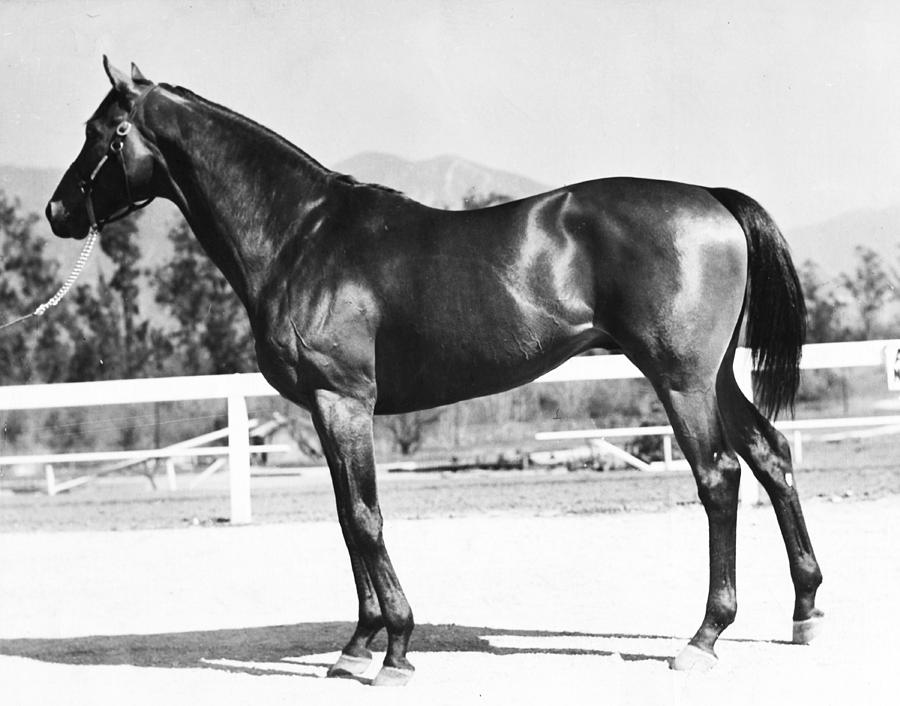 Seabiscuit Horse Racing #2 Photograph by Retro Images Archive