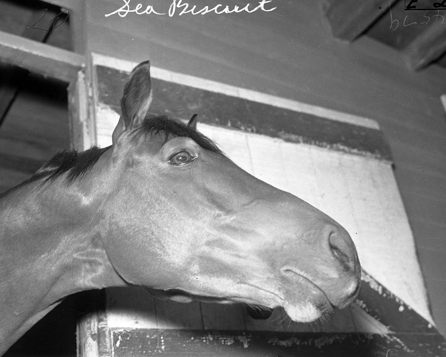 Seabiscuit Triple Crown Winner #10 Photograph by Retro Images Archive