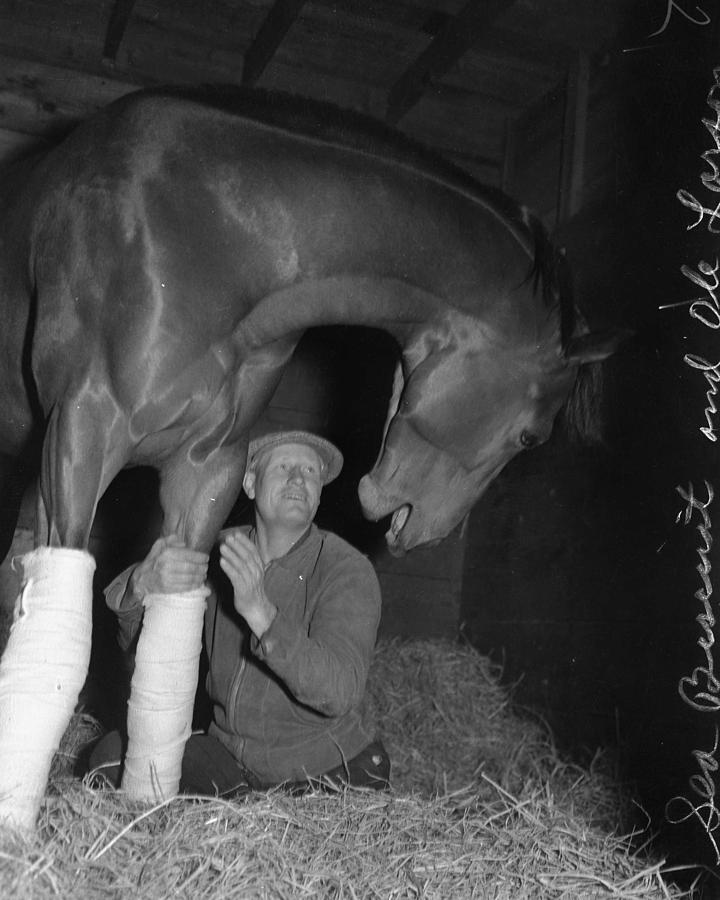 Seabiscuit Photograph - Rare Seabiscuit Triple Crown Winner #7 by Retro Images Archive