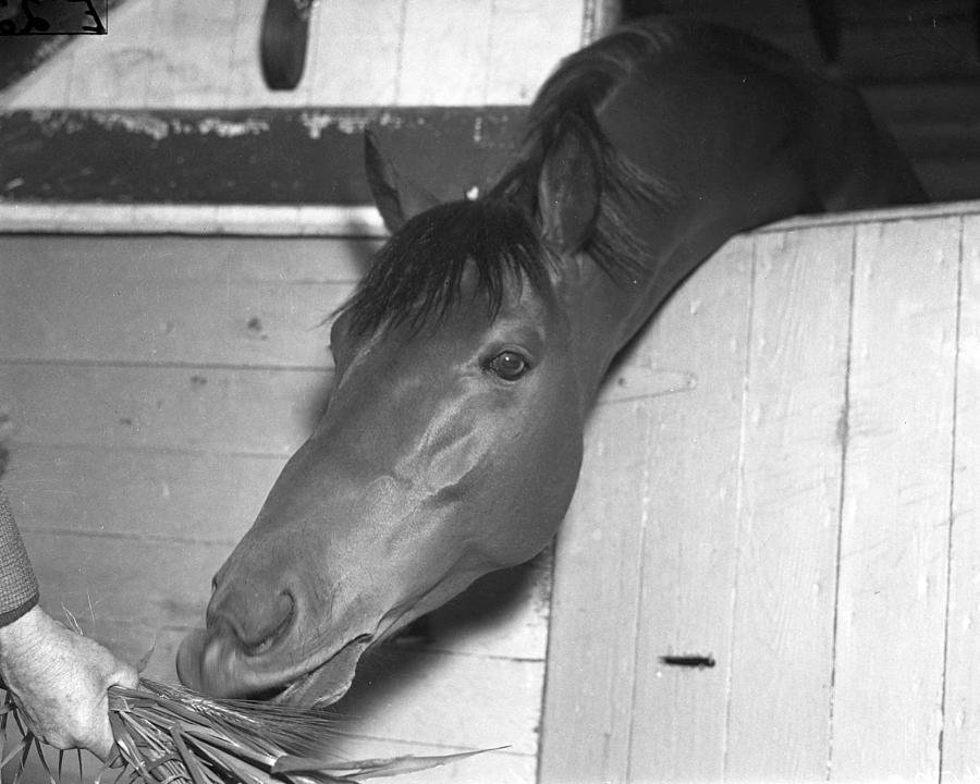 Seabiscuit Triple Crown Winner #8 Photograph by Retro Images Archive