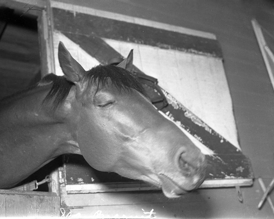 Seabiscuit Photograph - Seabiscuit Triple Crown Winner #9 by Retro Images Archive
