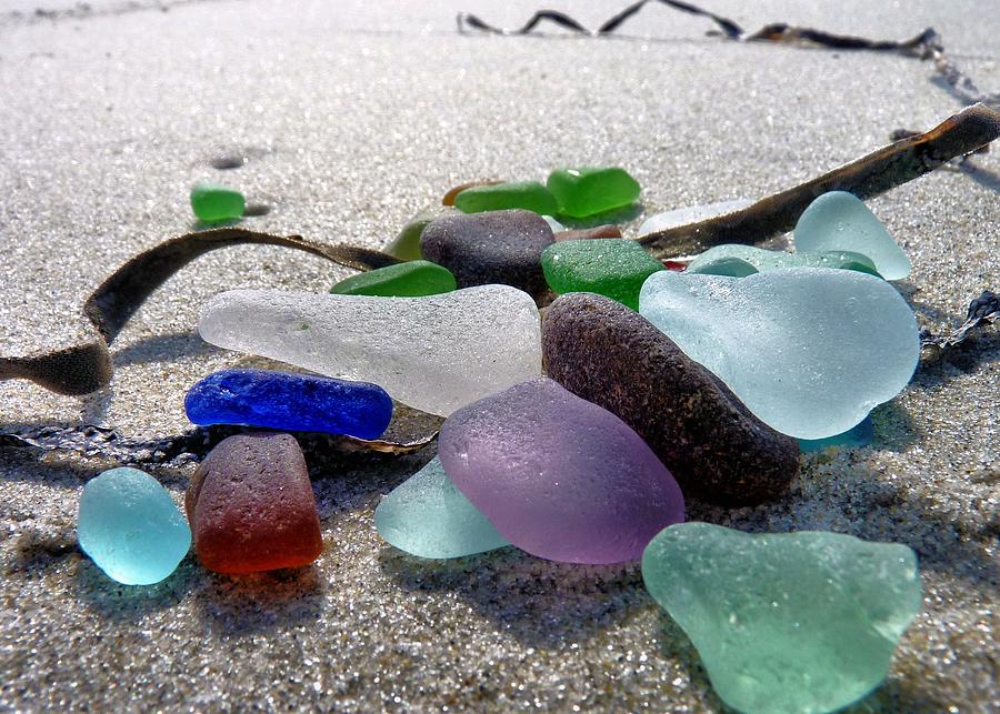 Seaglass and Seaweed Photograph by Janice Drew