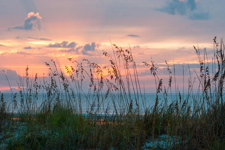 Seagrass Sunrise Photograph by Wally Taylor - Pixels