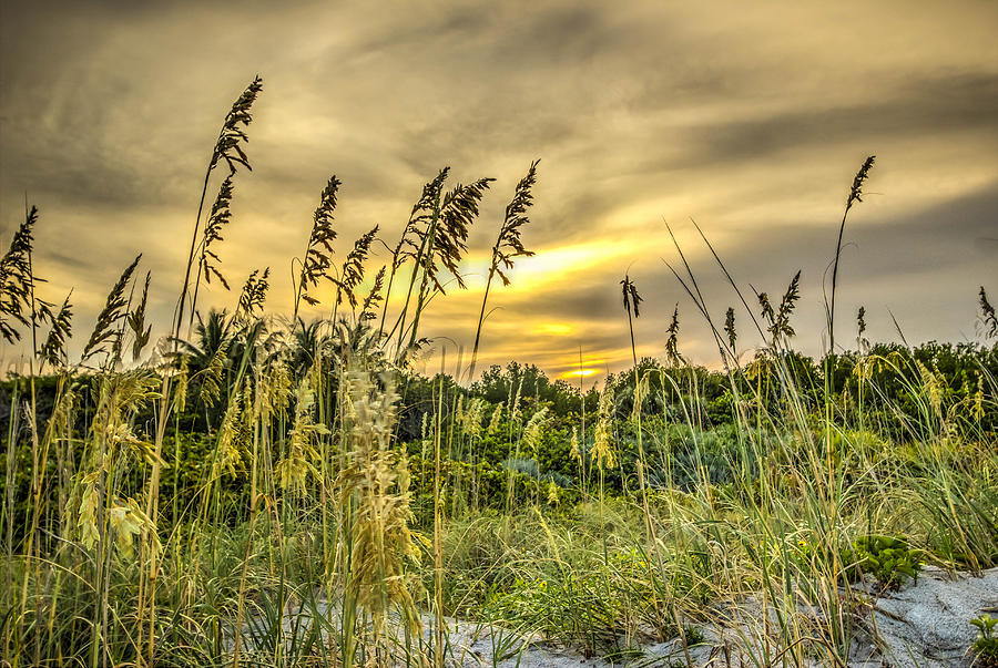 Seagrass Sunset Photograph by George Kenhan