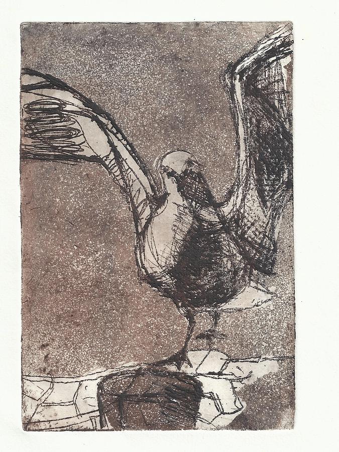 Seagull Drawing - Seagull Brown by Wendy Rosselli